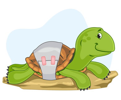 Freedom from pain, injury, or disease - Turtles
