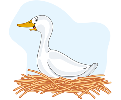 Freedom from discomfort - Ducks