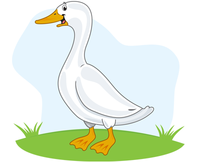 Animal Care - Ducks