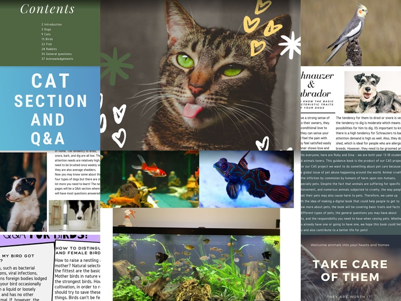 Students Ruby and Gina created an awesome animal care guide called Love Your Pet for a project! These are some snippets of their amazing and creative work!