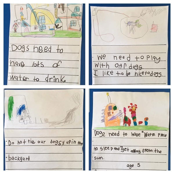 Caring for Pets posters by an awesome class at Onewhero Area School! 