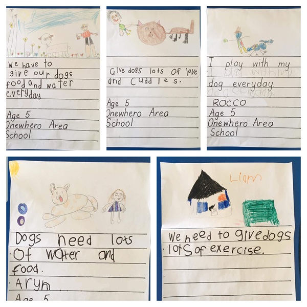 Caring for Pets posters by an awesome class at Onewhero Area School! 