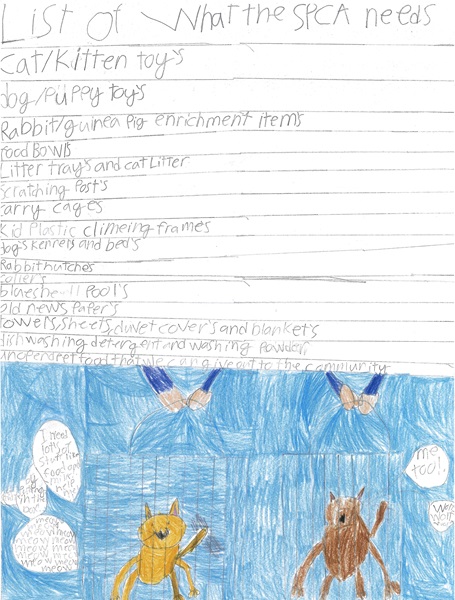 Sebastian, a student from Kauri Flats School, made this amazing poster to help advertise the things people can donate to SPCA's animals. Great work Sebastian!