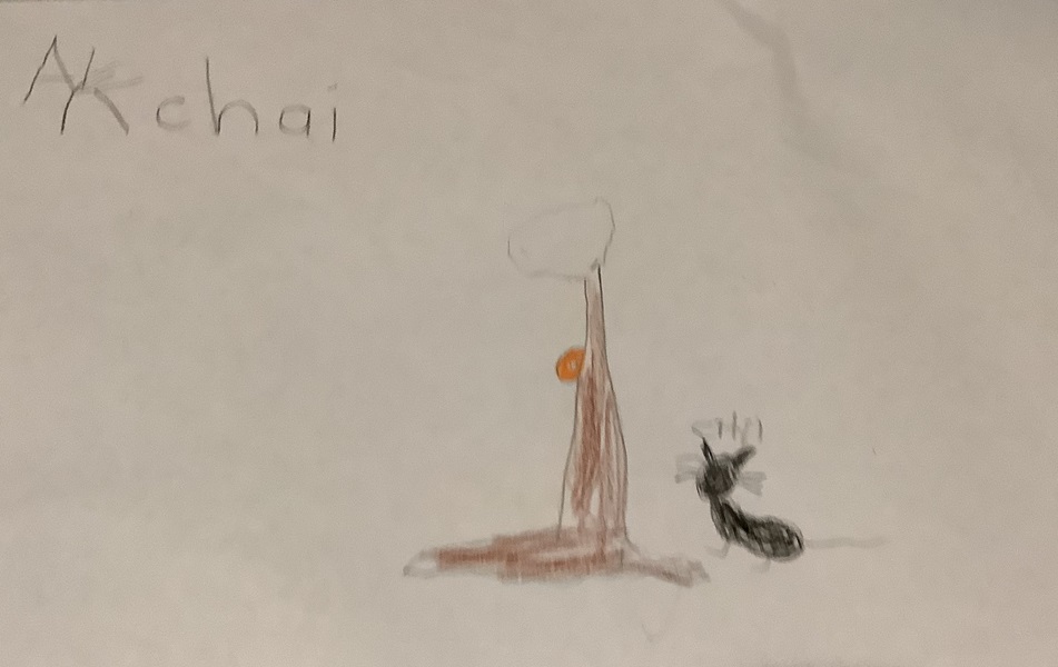 Akchai's adorable cat drawing! 