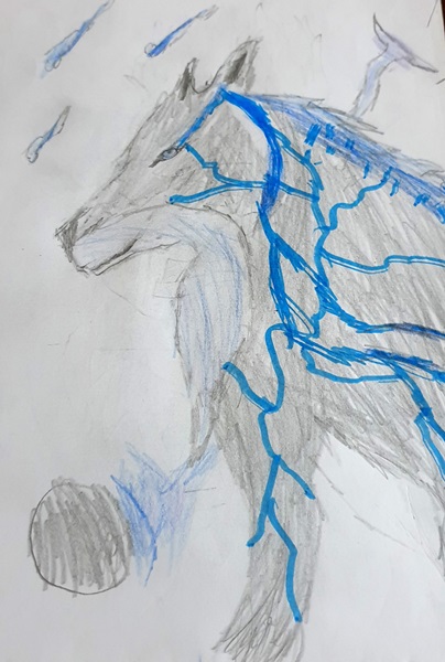 I love wolves so here is a wolf I drew! - Troy Age8
