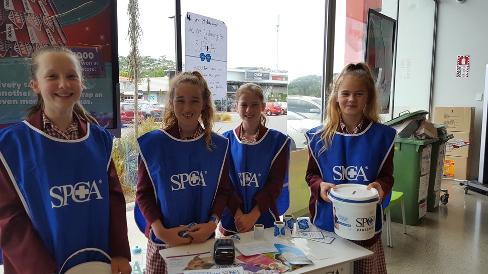 Students from Saint Mark's helping out at SPCA's Annual Appeal