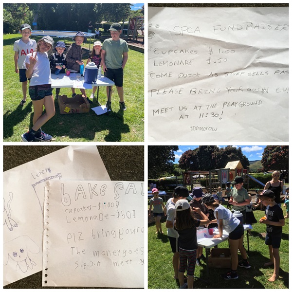 Zoe, with the support of her sister and friends, organised an awesome campground fundraiser to raise money for SPCA's animals!! 