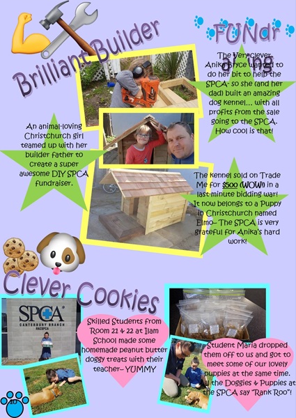 Brilliant Builder & Clever Cookies Fundraising! 