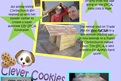 Brilliant Builder & Clever Cookies Fundraising! 