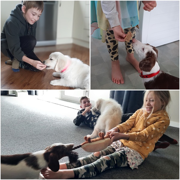 Jack and Ryleigh completed their first Learning at Home Booklet - their favourite activities were baking pupcakes and spending time with their adorable dogs! 