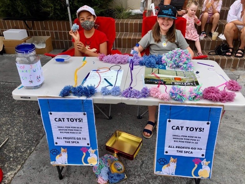 Salome and Aaliyah made these awesome cat pompoms to raise money for SPCA! 
