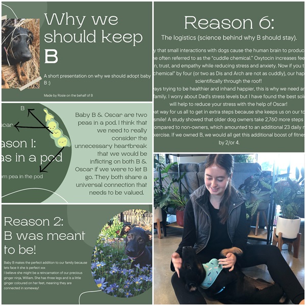 Rosie took the time to create an amazing PowerPoint to explain all of the wonderful reasons why her family should adopt their foster puppy, B. Great news - it worked!! Thank you Rosie and family for giving B her forever home! 