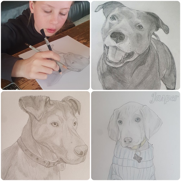 Mercey used her amazing art skills to create these beautiful dog drawings. She then sold her artwork to raise money for SPCA's animals. Thank you for your support Mercey!