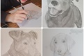 Mercey used her amazing art skills to create these beautiful dog drawings. She then sold her artwork to raise money for SPCA's animals. Thank you for your support Mercey!