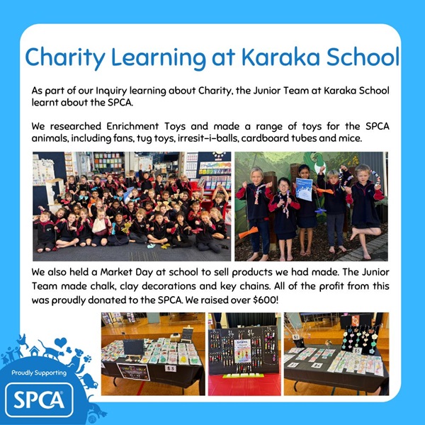 The Junior Team at Karaka School created a range of enrichment toys and sold them at the their school Market Day They then donated their profits to SPCA! How awesome do these look? Tino pai tamariki ma! 