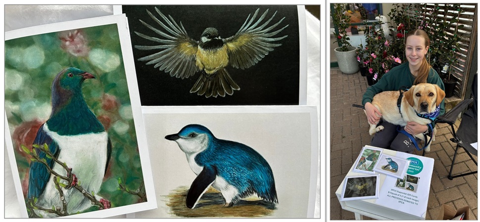 These gorgeous handmade cards were created as part of Miss O'Sullivan's Silver Award for Duke of Edinburgh. The money collected from selling these cards was donated to SPCA. We are so grateful for your amazing work and blown away by your incredible talent! 