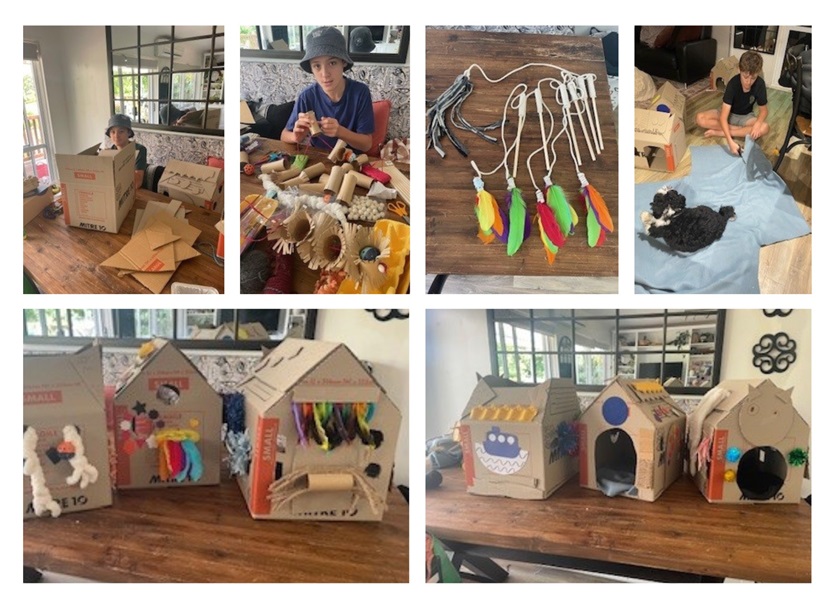 Sam spent 20 hours creating amazing enrichment toys for the animals staying with us while they wait for their forever homes. He built houses, made lots of fun enrichment items, and even donated two beds. Sam, you truly are a pawsome supporter, thank you for all your hard work!