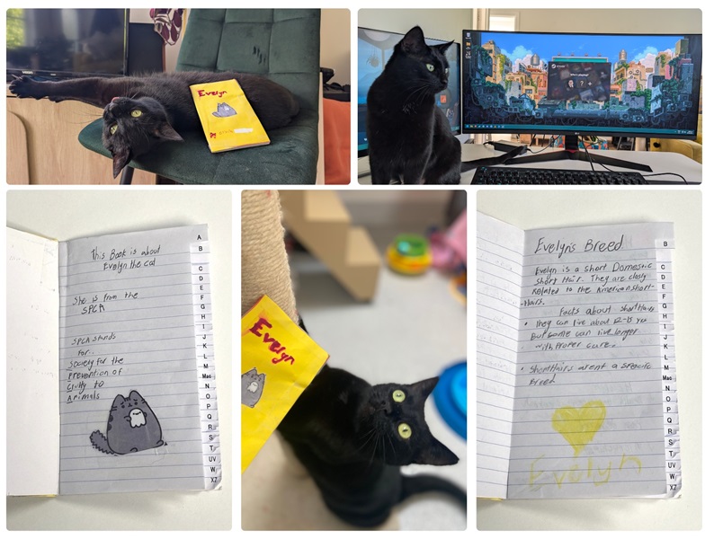 Olivia (age 9) and family came in late last year looking to adopt a cat. They met Evelyn and Olivia thought she was awesome. Unfortunately, Olivia and her whanau could not adopt Evelyn, but Olivia made a pawesome notebook all about Evelyn to go with her when she found her forever home. Evelyn has found her forever home and her new guardians love both Evelyn and her notebook endlessly! Thank you, Olivia, for being such a pawesome supporter! 