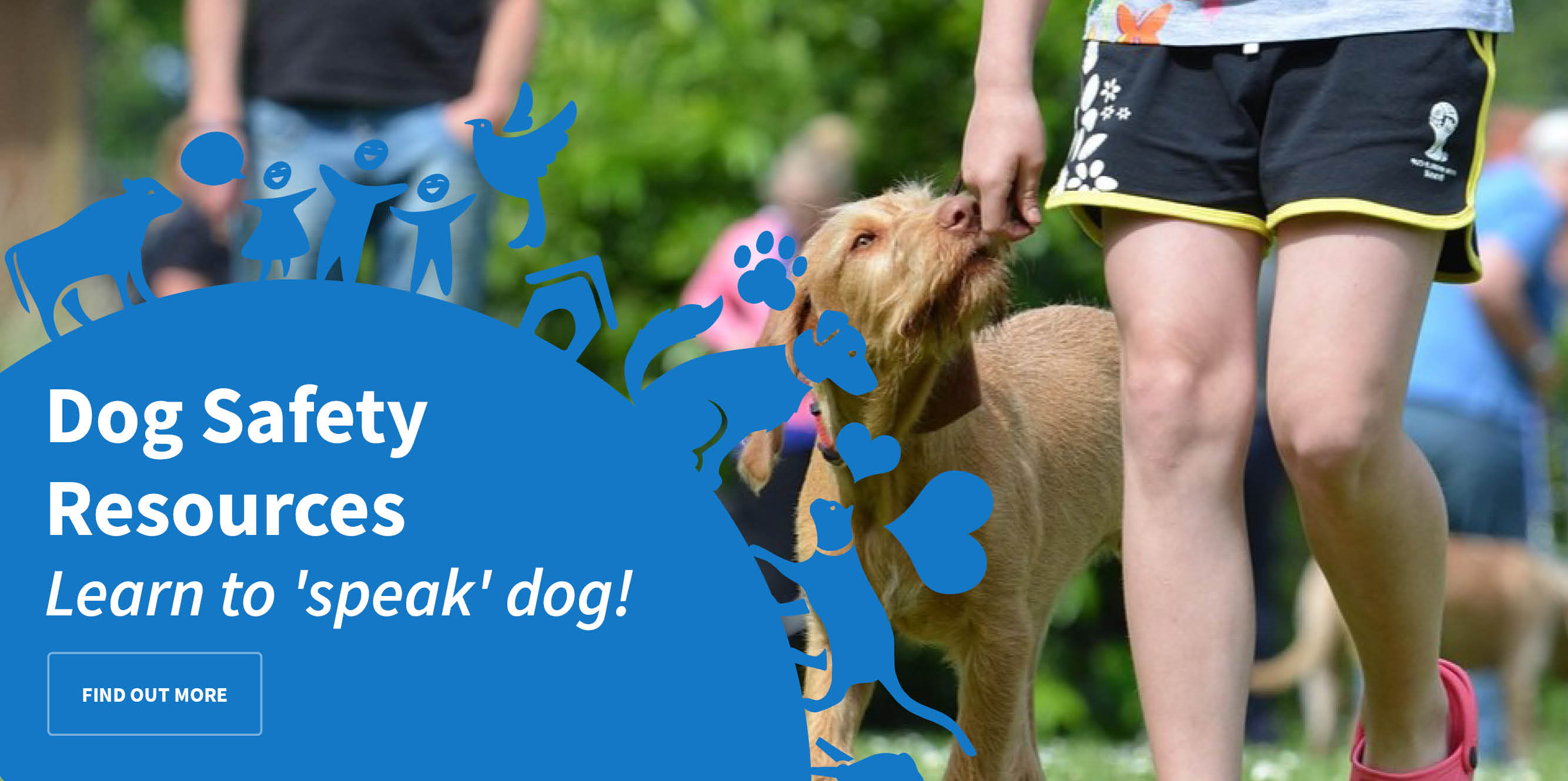 Dog Safety Resources